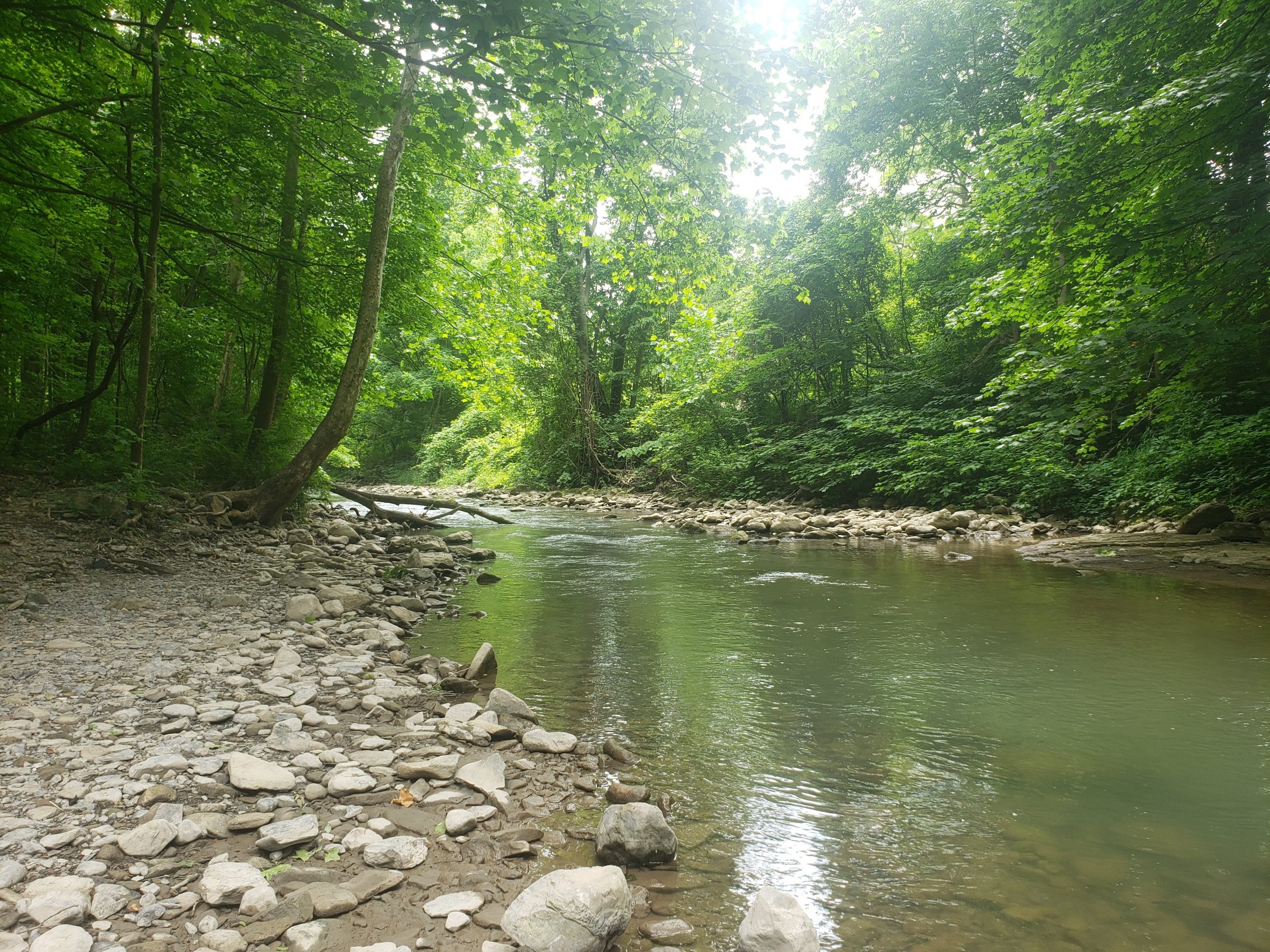 Butternut Creek Beach