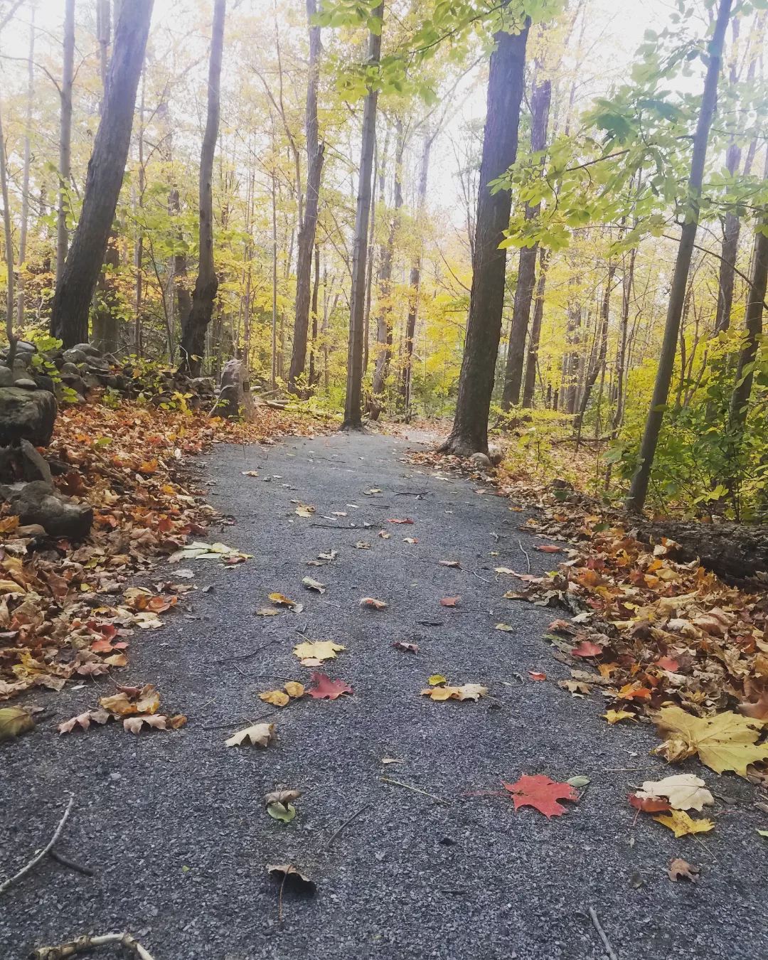 New Stone-Dust Main Trail is Wheelchair & Stroller Friendly!